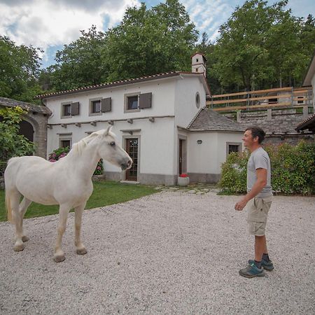 Tmbin'S Barn - Nature, Horses, Family Villa Sežana Exterior foto