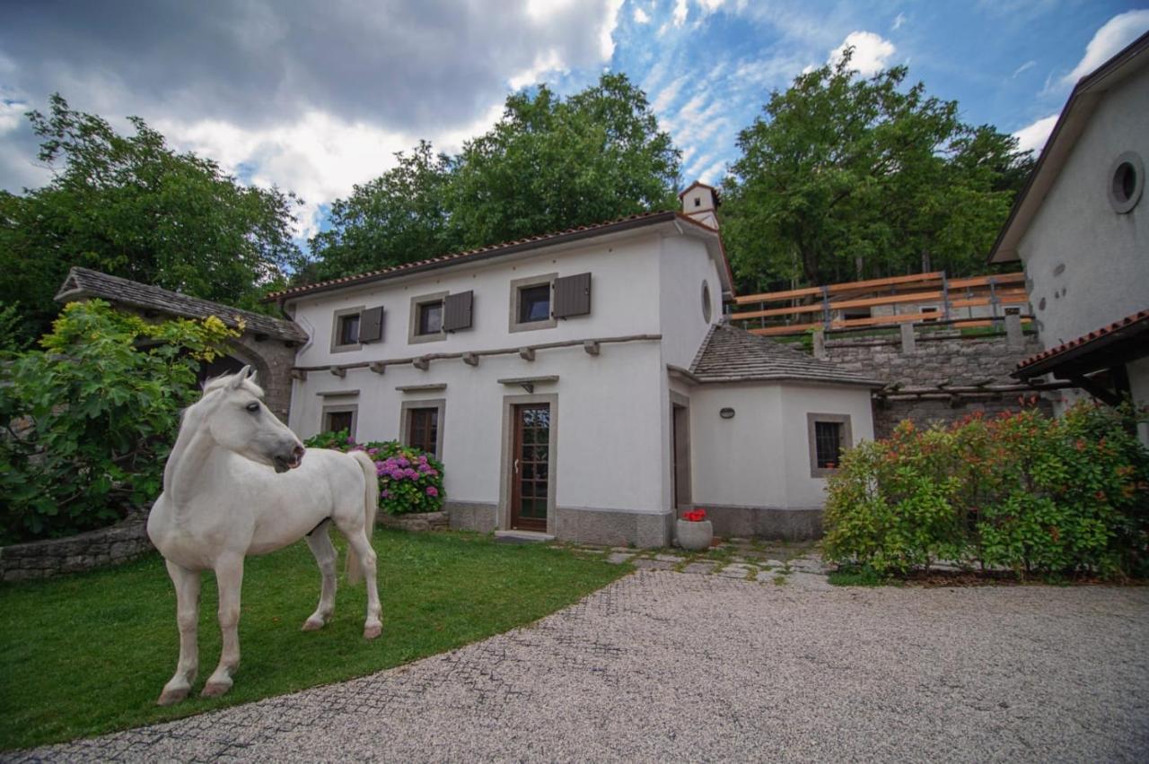 Tmbin'S Barn - Nature, Horses, Family Villa Sežana Exterior foto