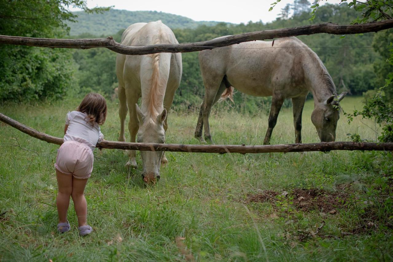 Tmbin'S Barn - Nature, Horses, Family Sežana Exterior foto