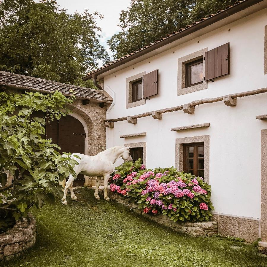 Tmbin'S Barn - Nature, Horses, Family Villa Sežana Exterior foto