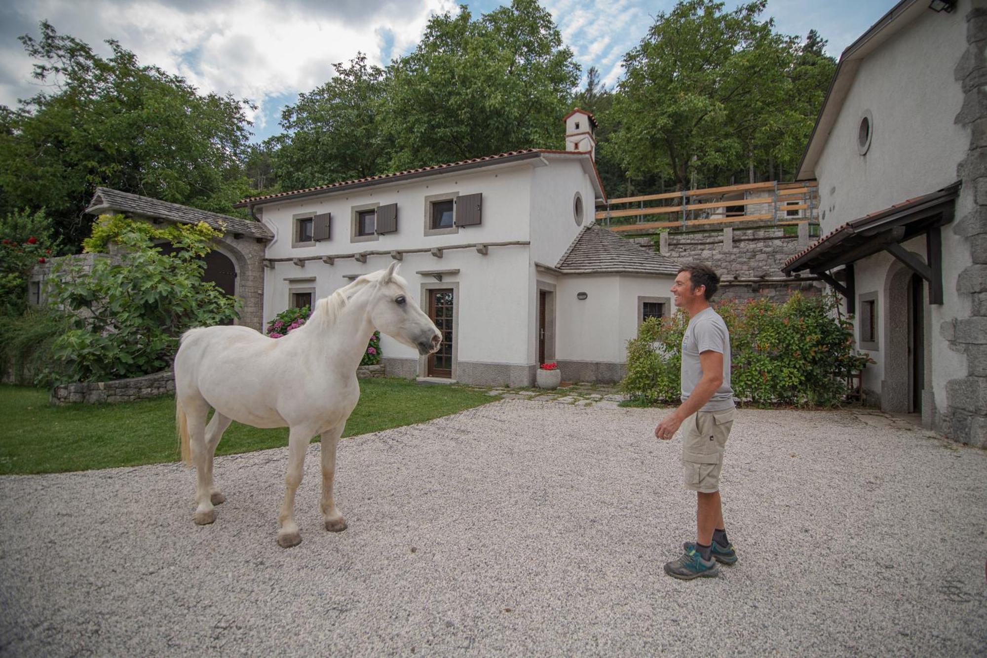 Tmbin'S Barn - Nature, Horses, Family Villa Sežana Exterior foto